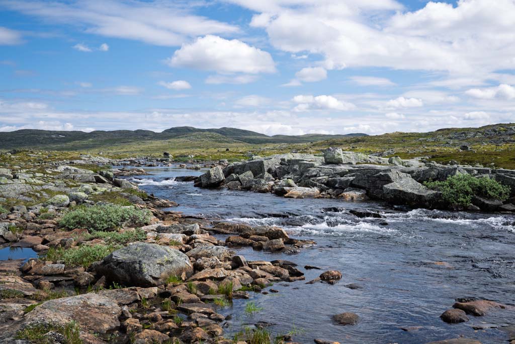 Fjellandskap på Hardangervidda med vann og myrer sommeren 2024.