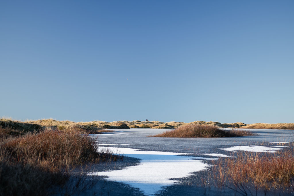 Haviksanden i vinterlys med sanddyner og spor i sanden.