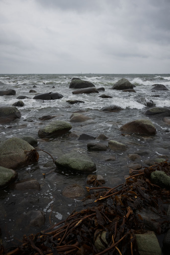 Østhasselstrand i ruskevær med bølger og tang i fjæra.