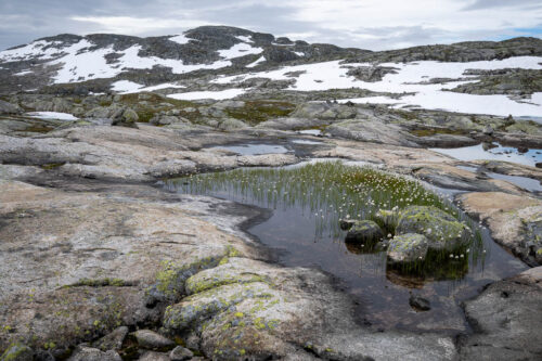 Hardangervidda