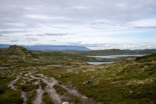 Hardangervidda