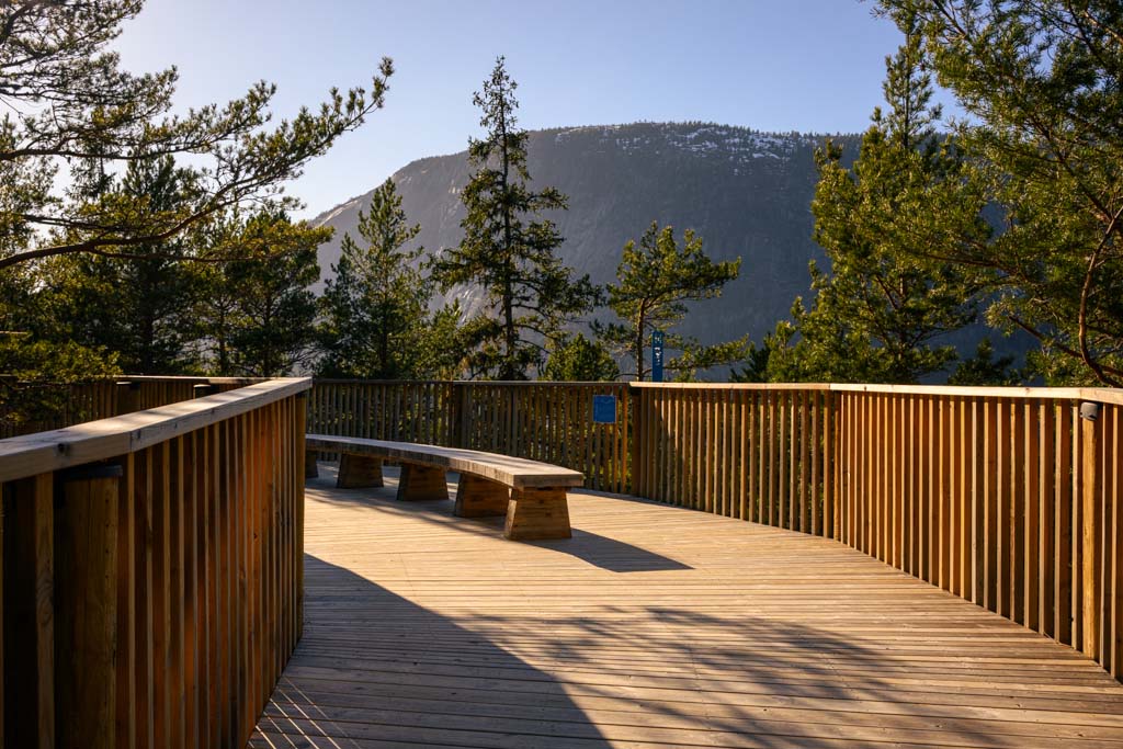 Benk på toppen av Tretoppvegen med utsikt over skog og vann.