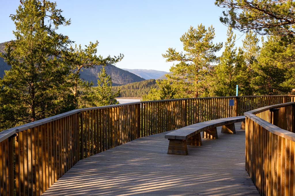 Hvileplass med sittebenker langs tretoppstien.