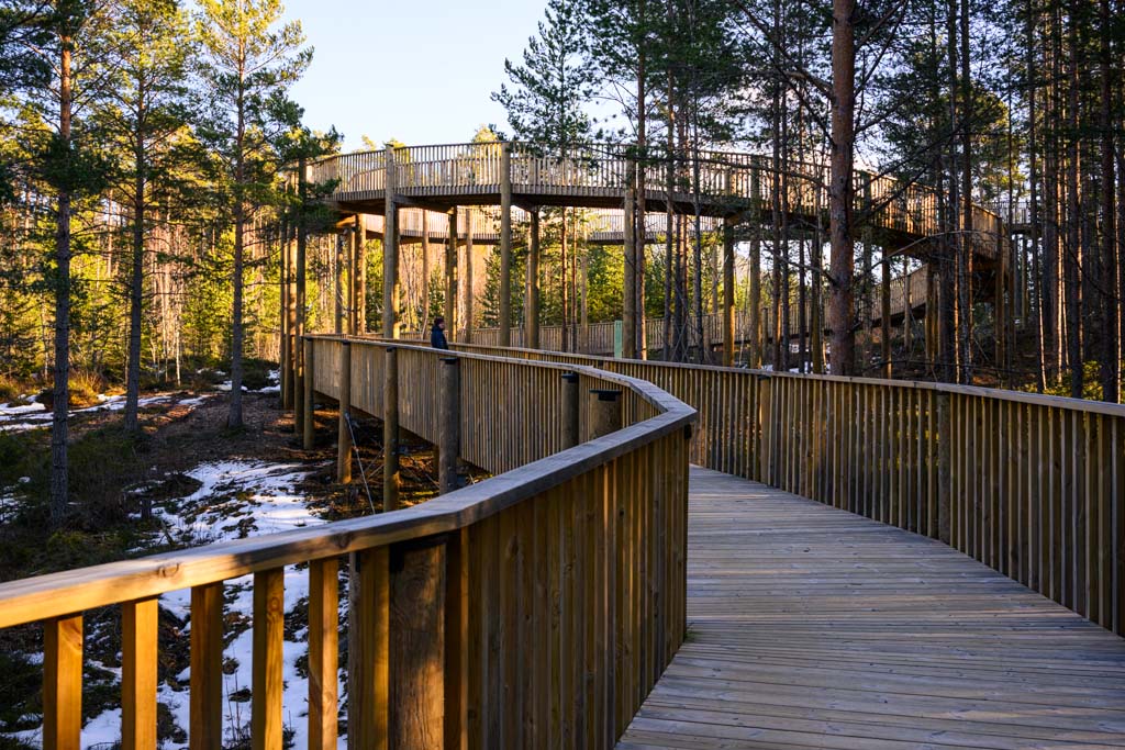 Stor skrue i trekonstruksjonen på Tretoppvegen.