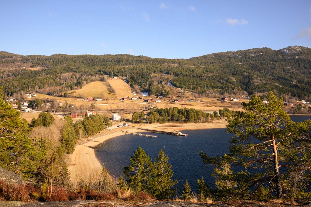 Utsikt fra tretoppstien over skog og vann.